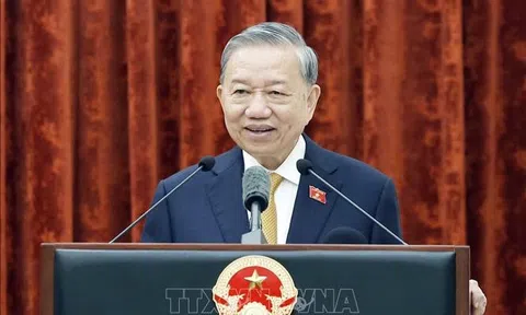 Thư của Tổng Bí thư, Chủ tịch nước Tô Lâm nhân kỷ niệm 80 năm Ngày truyền thống phòng, chống thiên tai Việt Nam