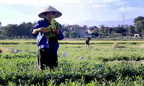 Ngày 28/5: Bắc Bộ nắng nóng trước khi đón mưa dông, Nam Bộ mưa to cục bộ