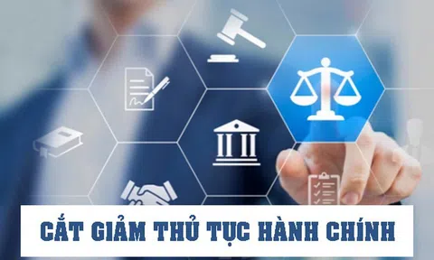 Quy chế làm việc của Chính phủ