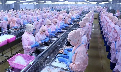 Lương tối thiểu vùng năm 2027 dự kiến tăng bao nhiêu ?