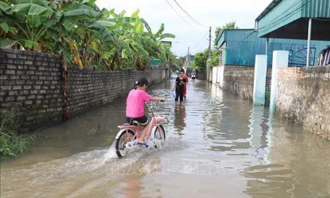 Ngày 30/7: Trung Bộ và Nam Bộ mưa lớn, đề phòng lũ quét và ngập úng