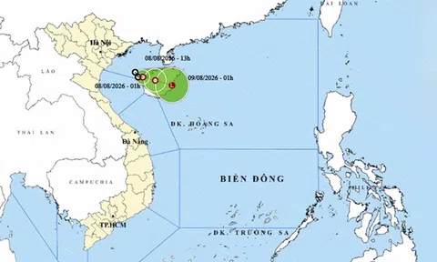 Ngày 8/8: Áp thấp nhiệt đới gây biển động mạnh, Trung Bộ và Nam Bộ có mưa dông