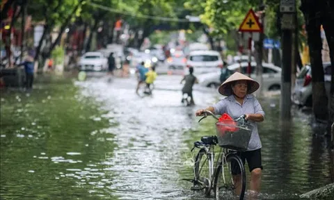 Ngày 17/8: Bắc Bộ và Bắc Trung Bộ mưa lớn, có nơi trên 200 mm