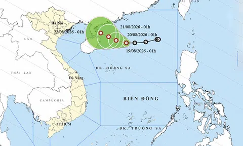 Ngày 19/8: Áp thấp nhiệt đới gây biển động, Bắc Bộ và Bắc Trung Bộ mưa lớn
