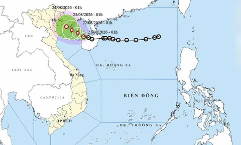 Ngày 21/8: Áp thấp nhiệt đới có khả năng mạnh lên thành bão, Bắc Bộ mưa rất to