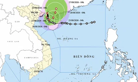 Ngày 22/8: Bão số 4 gây mưa đặc biệt lớn tại Quảng Ninh, Hải Phòng