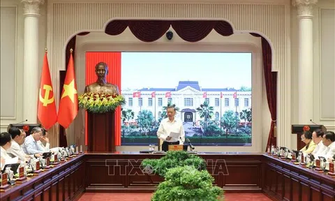 Tổng Bí thư, Chủ tịch nước Tô Lâm: Phát triển, thu hút và trọng dụng nhân tài phải đặt trong tổng thể chiến lược phát triển đất nước
