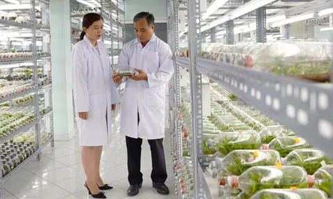 Chuyển đổi số, xây dựng hệ sinh thái dữ liệu và kết nối nguồn lực trí thức
