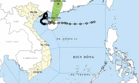 Ngày 26/8: Bão số 4 suy yếu thành áp thấp nhiệt đới, Bắc Bộ mưa to cục bộ