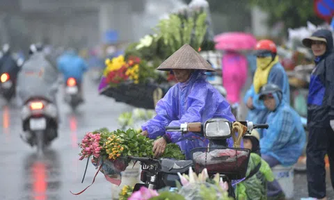 Ngày 29/8: Bắc Bộ và nhiều khu vực mưa dông, Biển Đông sóng cao tới 4 m