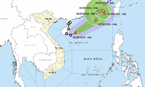 Ngày 1/9: Áp thấp nhiệt đới đã mạnh lên thành bão – bão số 5 trong năm 2026