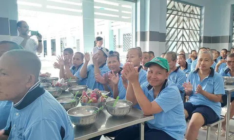 Nơi tiếng cười vang lên giữa rừng cao su tĩnh mịch