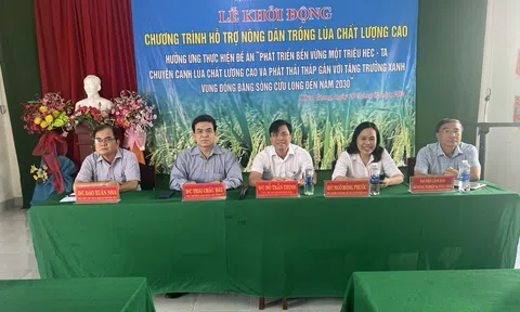 Kiên Giang: Gia tăng giá trị lúa chuyên canh chất lượng cao và phát thải thấp gắn với tăng trưởng xanh