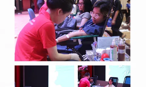 Nắng Hồng 2023 - Kết nối cộng đồng, ươm mầm sự sống, trao đi yêu thương