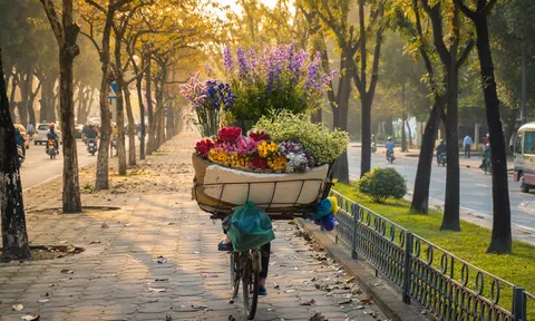 Hồ Minh Thông, lá chưa chịu khởi vàng khi mùa thu vừa tới