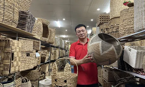 Làng nghề chiếu cói Nga Sơn - Nơi hồn cói dệt nên lịch sử