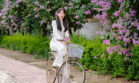 Biêng biếc bằng lăng