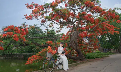 Tháng năm về