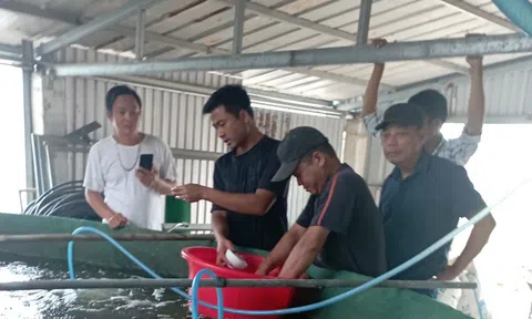 Trịnh Xuân Đức - Người thổi sức sống mới cho đồng đất quê hương
