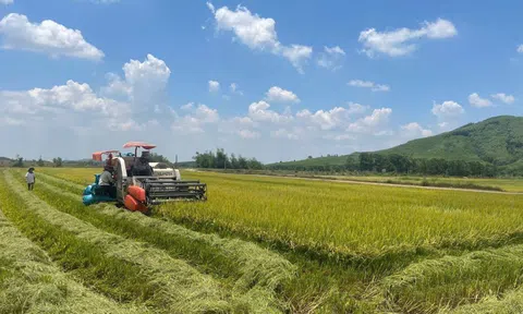 Hợp tác xã Tấn Hưng - Điểm sáng của nông nghiệp xanh ở Đắk Lắk