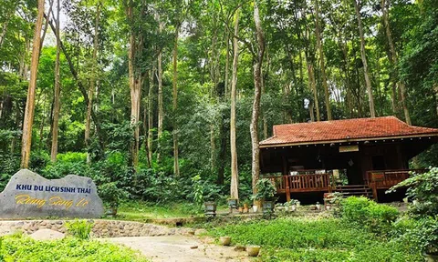 Khám phá hệ sinh thái phong phú tại Khu Dự trữ sinh quyển miền Tây Nghệ An