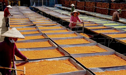 Muối ớt Tây Ninh - Từ món ăn dân dã đến di sản văn hóa quốc gia