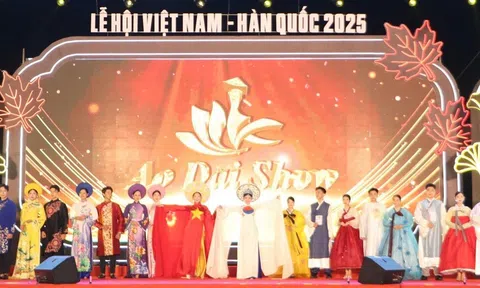 Khai mạc Lễ hội Việt Nam – Hàn Quốc TP Đà Nẵng năm 2025