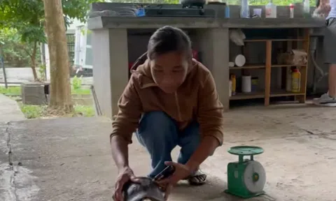 Vườn quốc gia Pù Mát tiếp nhận động vật hoang dã do người dân tự nguyện bàn giao