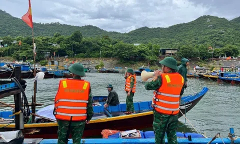 Đà Nẵng: Chủ động ứng phó với bão Kajik