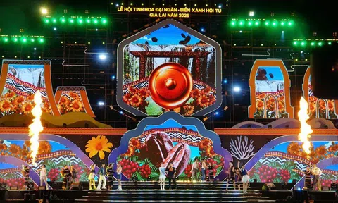 Gia Lai: Khai mạc Lễ hội tinh hoa đại ngàn - biển xanh hội tụ