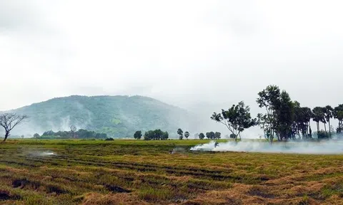 Nhớ sao mùi khói đốt đồng