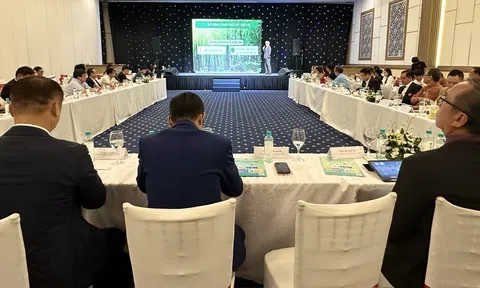 Kết nối doanh nghiệp Việt - Nhật, hướng đến chuẩn mực xanh