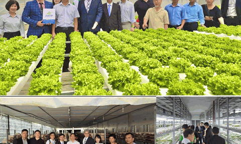 Doanh nghiệp Hàn Quốc đồng hành cùng Việt Nam thúc đẩy chuyển đổi kép