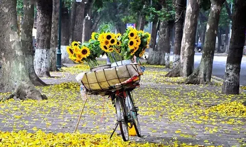 Mùa thu Hà Nội - Bản giao hưởng của ký ức và hiện tại