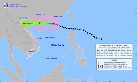 Nghệ An: Chủ động ứng phó với siêu bão Ragasa
