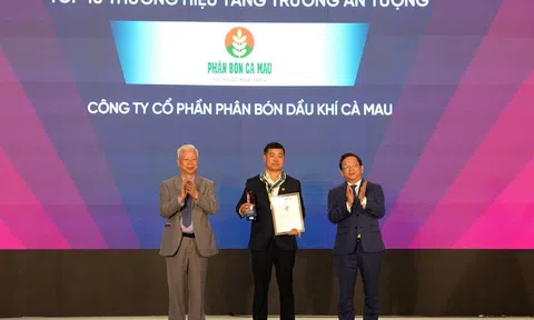 Top 10 thương hiệu tăng trưởng ấn tượng 2025: PVCFC xuất khẩu bứt phá, khẳng định vị thế tiên phong