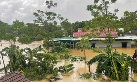 Nghệ An kêu gọi ủng hộ đồng bào bị thiệt hại do bão số 10