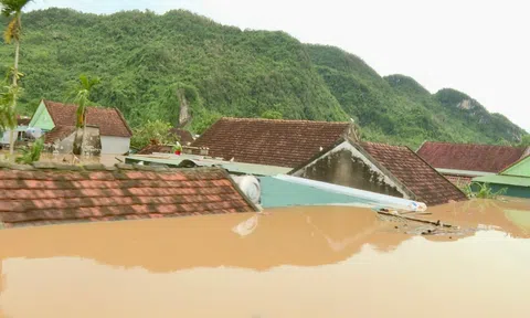 Tôi thương đồng bào tôi