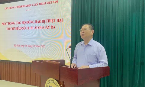 Đoàn Chủ tịch Liên hiệp Hội Việt Nam phát động ủng hộ đồng bào bị thiệt hại do bão số 10