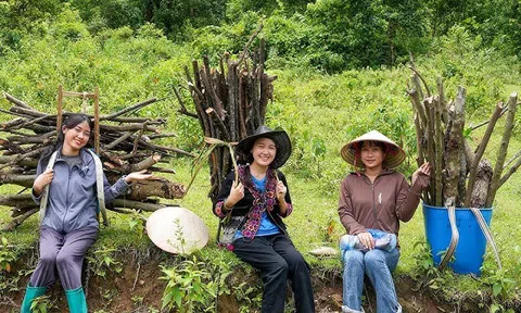 Đi củi