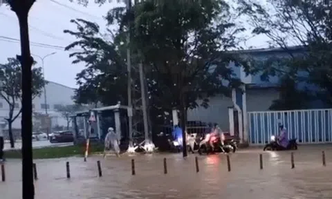 Đà Nẵng: Chủ động ứng phó với thiên tai