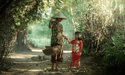 Cổng tre nhà cũ