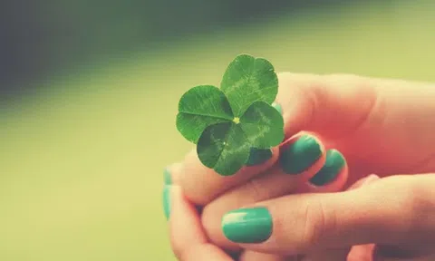 Giang Đăng và mong manh giấc cỏ