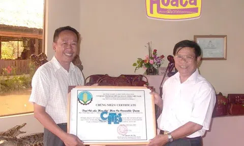 Cá Sấu Hoa Cà – Khi văn hóa phát triển bắt nguồn từ lòng nhân ái và sáng tạo