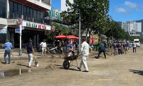 Hàng trăm người chung tay làm sạch đường biển du lịch Đà Nẵng