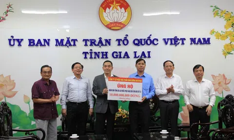 Nutifood hỗ trợ người dân Gia Lai 10 tỷ đồng khắc phục bão Kalmaegi