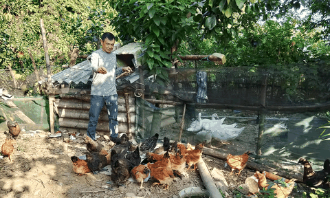 Cựu binh 63 tuổi biến vườn đồi thành trang trại ong mật và chăn nuôi hiệu quả