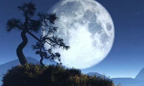 Có một mùa trăng như thế