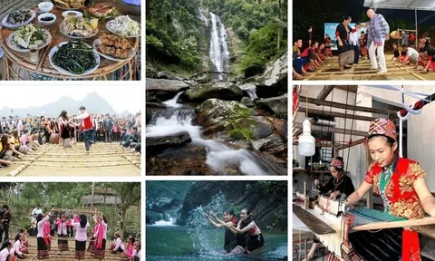 Du lịch Nghệ An năm 2025: Vững vàng vượt khó, khẳng định vai trò ngành kinh tế quan trọng