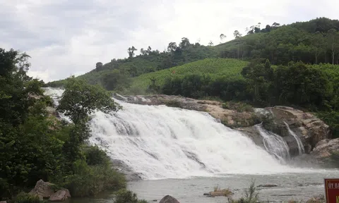 ERPA: Bảo vệ rừng, phát triển kinh tế xanh gắn với bảo tồn, gìn giữ bản sắc văn hóa truyền thống miền Tây Nghệ An